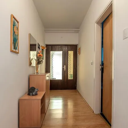 Guest house Vera Savic 3*