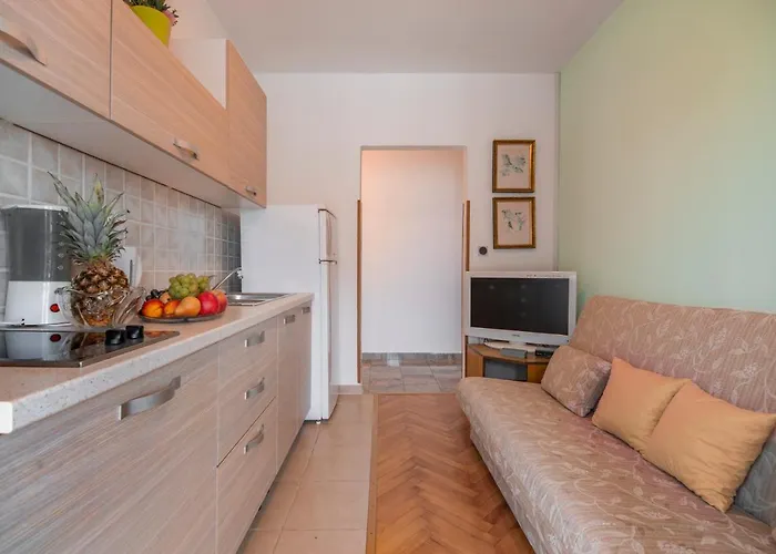 Vera Savic בית הארחה פורץ